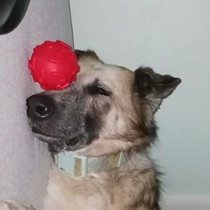 Meet your Posher, Joy